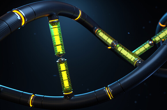 Valores da MultiDecision